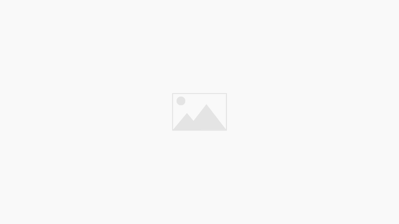 Noble Gold Review 2025
